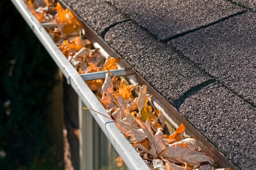 A picture of dead leaves in a house gutter.